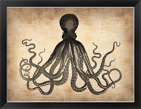 Framed Vintage Octopus Print