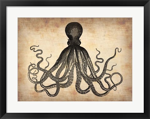 Framed Vintage Octopus Print