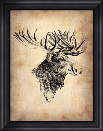 Framed Vintage Moose Print