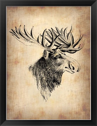 Framed Vintage Moose Print