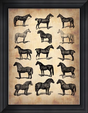 Framed Vintage Horses Collection Print