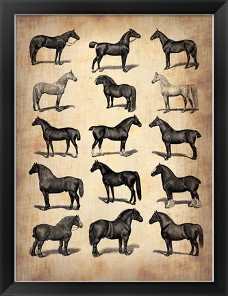 Framed Vintage Horses Collection Print