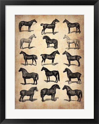 Framed Vintage Horses Collection Print