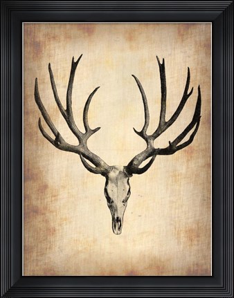 Framed Vintage Deer Scull Print