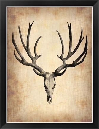 Framed Vintage Deer Scull Print