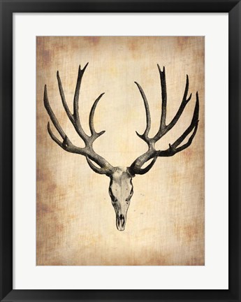 Framed Vintage Deer Scull Print