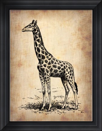 Framed Vintage Giraffe Print