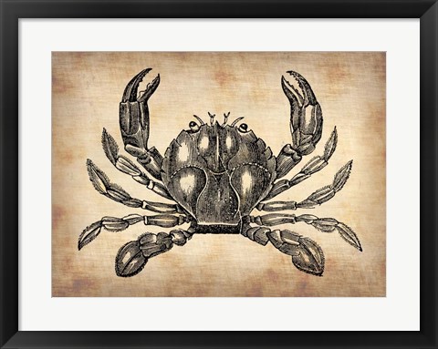 Framed Vintage Crab Print