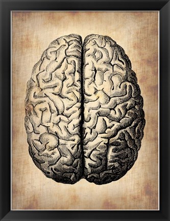 Framed Vintage Brain Print