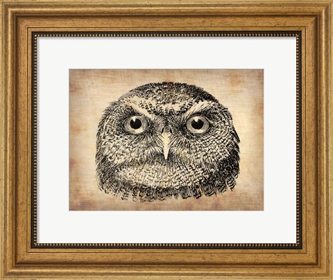 Framed Vintage Owl Face Print