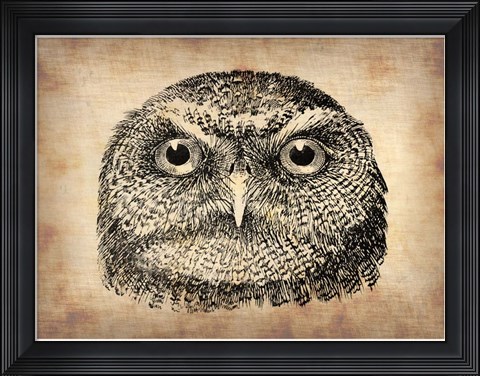 Framed Vintage Owl Face Print