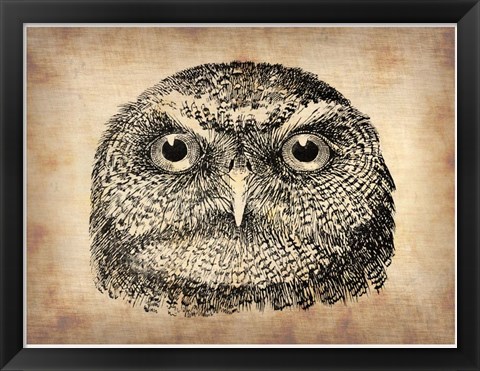 Framed Vintage Owl Face Print