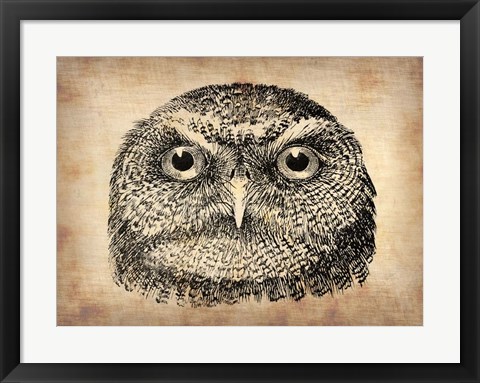 Framed Vintage Owl Face Print