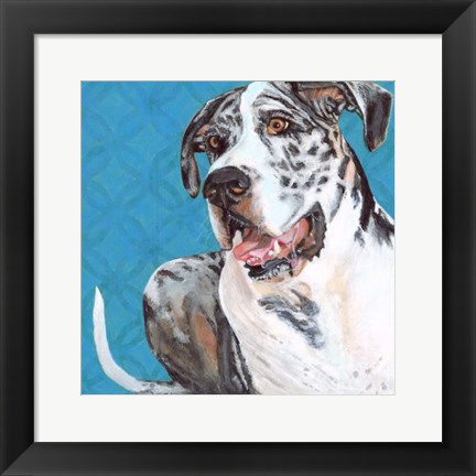 Framed Dlynn&#39;s Dogs - Apollo Print