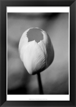 Framed Floral Portrait I Print