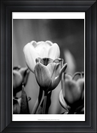 Framed Floral Portrait II Print