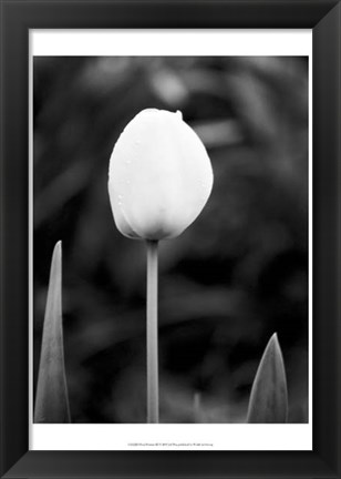 Framed Floral Portrait III Print