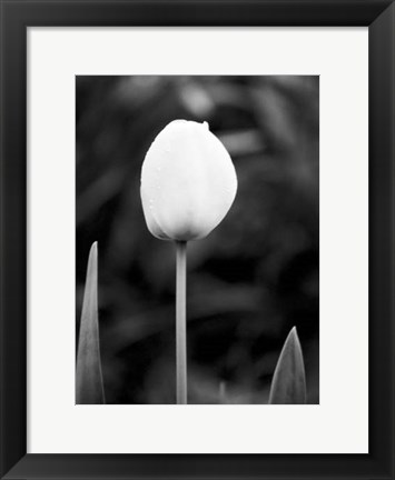 Framed Floral Portrait III Print