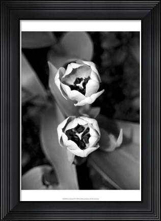 Framed Floral Portrait IV Print