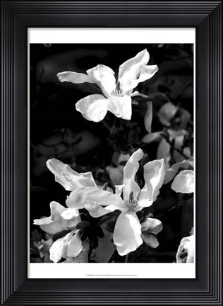 Framed Floral Portrait VI Print