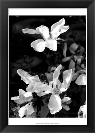 Framed Floral Portrait VI Print