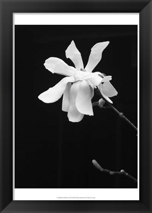 Framed Floral Portrait VII Print