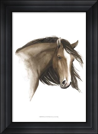 Framed Wild Horse I Print
