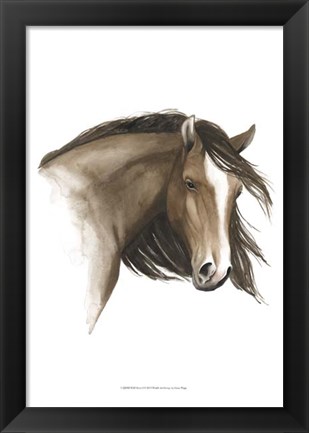 Framed Wild Horse I Print