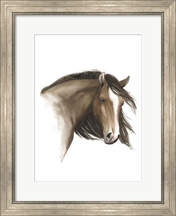 Framed Wild Horse I Print