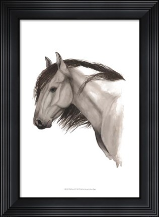 Framed Wild Horse II Print