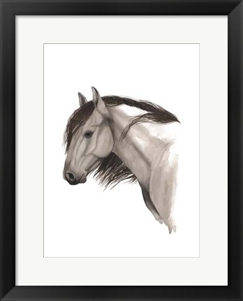 Framed Wild Horse II Print