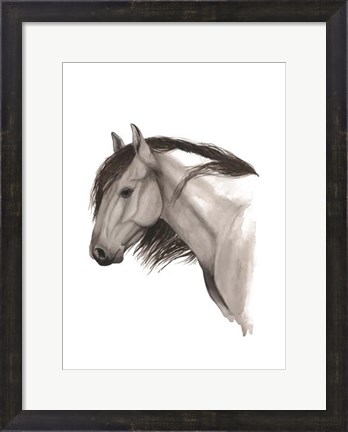 Framed Wild Horse II Print