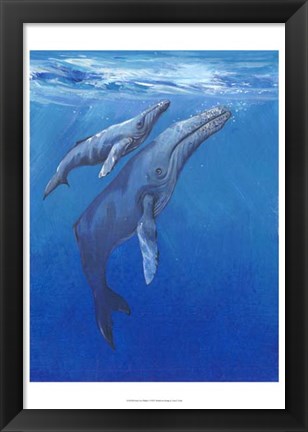 Framed Under Sea Whales I Print