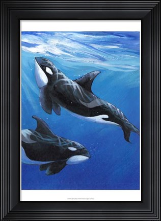 Framed Under Sea Whales II Print