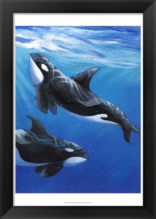 Framed Under Sea Whales II Print