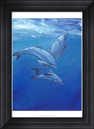 Framed Under Sea Dolphins Print