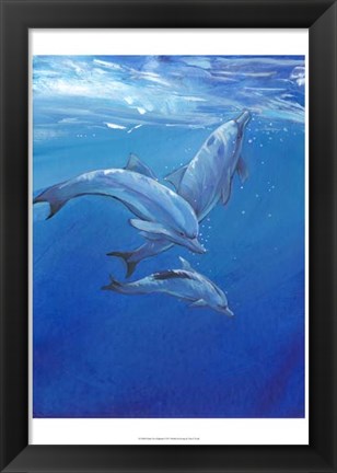 Framed Under Sea Dolphins Print