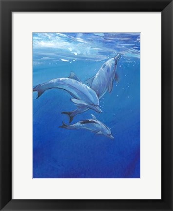 Framed Under Sea Dolphins Print