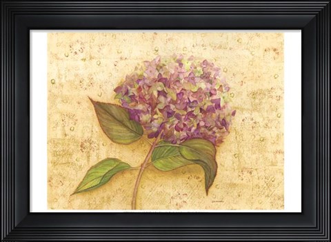 Framed Hydrangea Love I Print