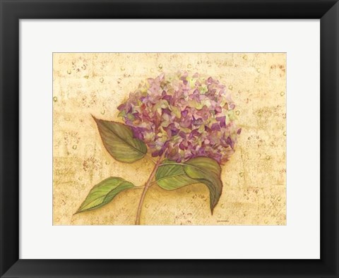 Framed Hydrangea Love I Print