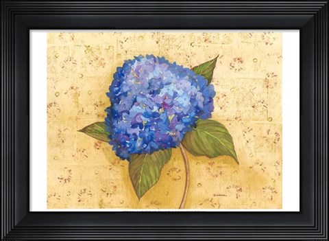 Framed Hydrangea Love II Print
