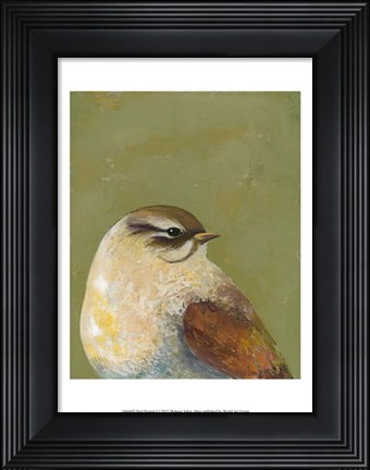Framed Bird Portrait I Print