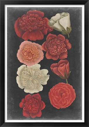 Framed Midnight Roses Print