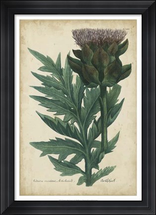 Framed Weinmann Foliage &amp; Fruit II Print