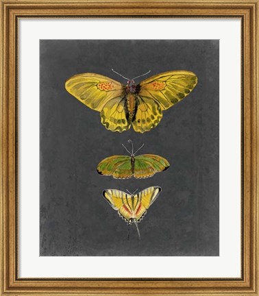 Framed Butterflies on Slate I Print