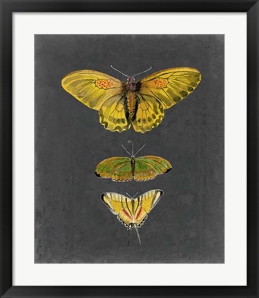 Framed Butterflies on Slate I Print