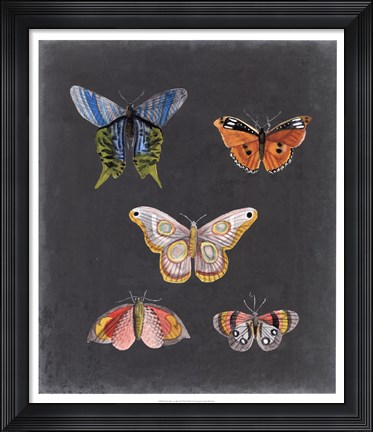 Framed Butterflies on Slate II Print