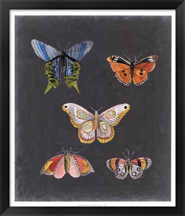 Framed Butterflies on Slate II Print