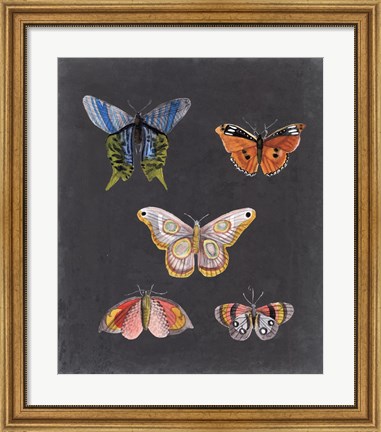 Framed Butterflies on Slate II Print