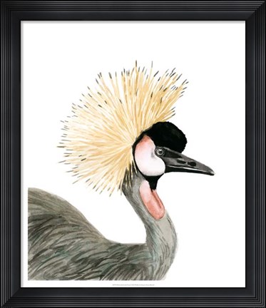 Framed Watercolor Crested Crane Print